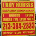 Sticker horse memes - 4