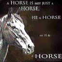 Sticker horse memes - 6