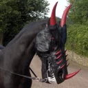 Sticker horse memes - 7