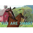 Sticker horse memes - 11