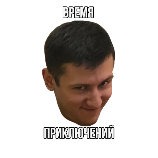 Sticker hostovich - 1