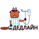 Стикер бобры Hostpro - 7