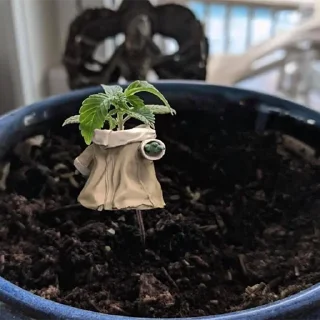 Sticker HOT SPB PLANTS - 10