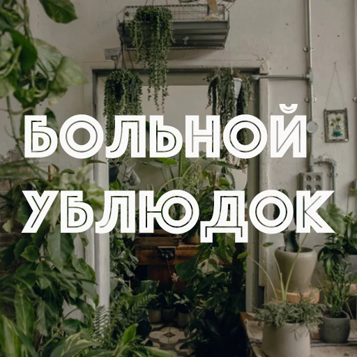 Стикер hotspbplants - 1