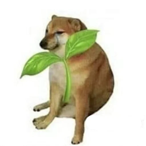 Стикер hotspbplants - 1