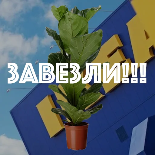 Sticker hotspbplants - 1