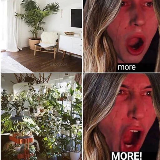 Sticker hotspbplants - 1