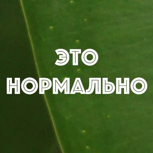 Стикер hotspbplants - 1