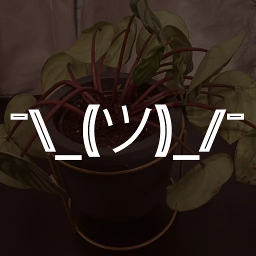 Стикер hotspbplants - 1