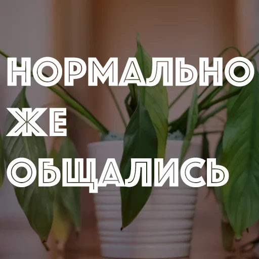 Стикер hotspbplants - 1