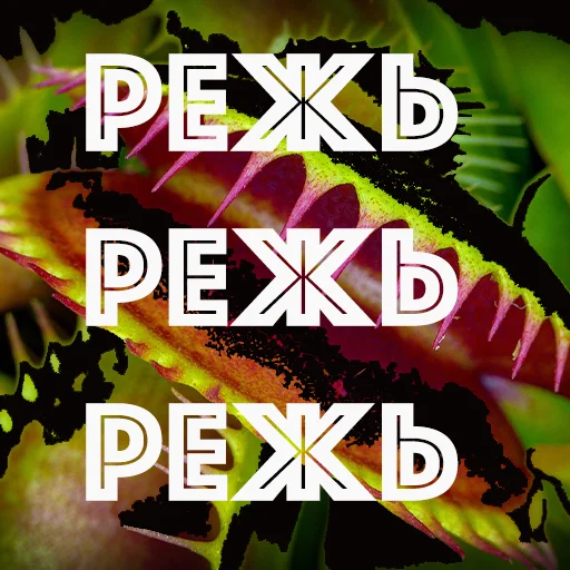 Sticker HOT SPB PLANTS - 6