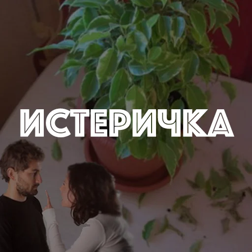 Стикер hotspbplants - 1