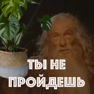 Sticker HOT SPB PLANTS - 7