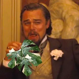 Sticker HOT SPB PLANTS - 11