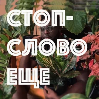 Sticker HOT SPB PLANTS - 9