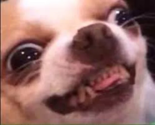 Стикер Hovanus - 9