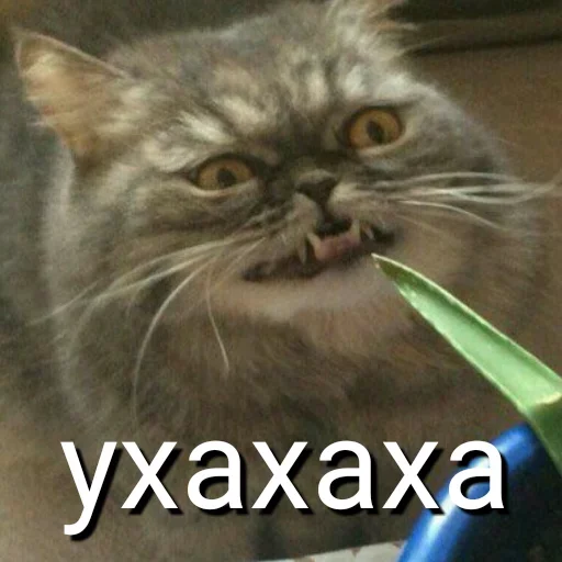 Стикер Hovanus - 1