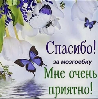 Sticker how to date men when you hate men - 5