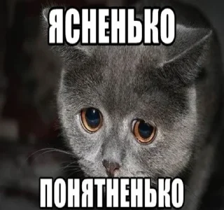 Sticker прекрасные стикеры ашкьюдимы - 10