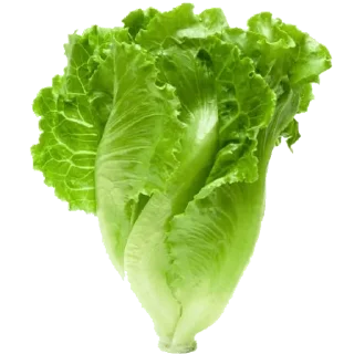 Sticker -`✧⋆ @hqnerv ₊ ✰ ’ - - 5