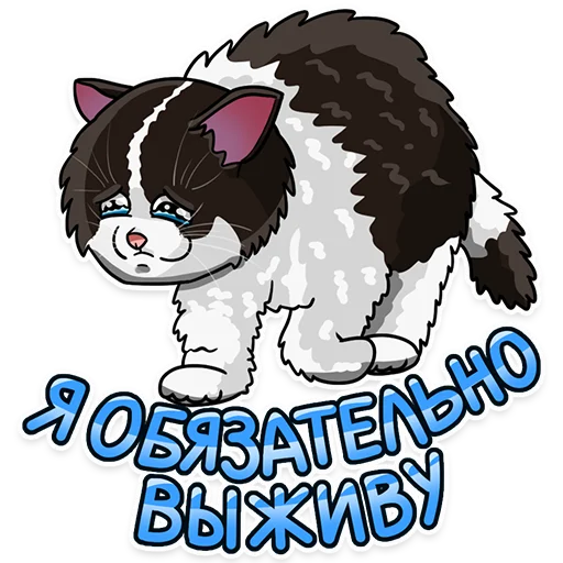 Рабочие котики | @hr_data - 