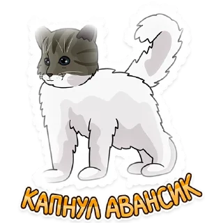 Sticker Рабочие котики | @hr_data - 11