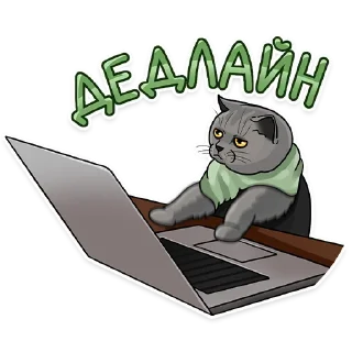 Sticker Рабочие котики | @hr_data - 10