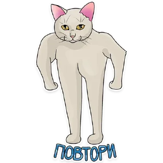 Sticker Рабочие котики | @hr_data - 4