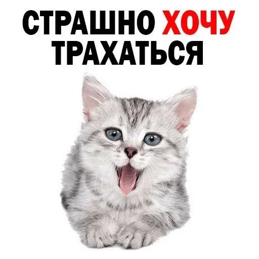 Sticker хуета :: @fStikBot - 10