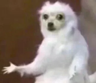 Стикер 慧彤专属表情包 - 9