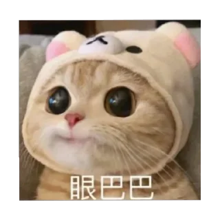 Стикер 慧彤专属表情包 - 8