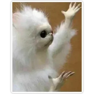 Стикер 慧彤专属表情包 - 11