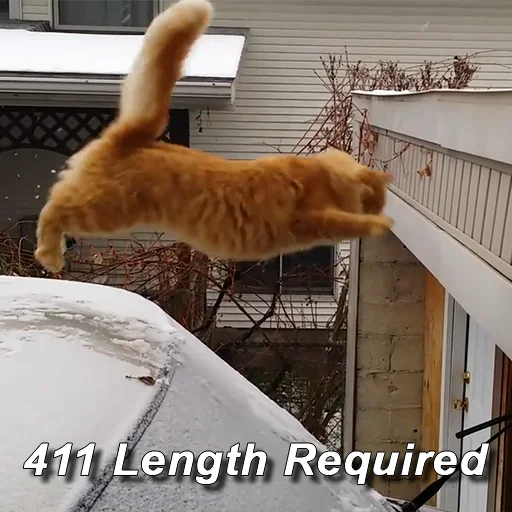 Sticker httpStatusCats - 1