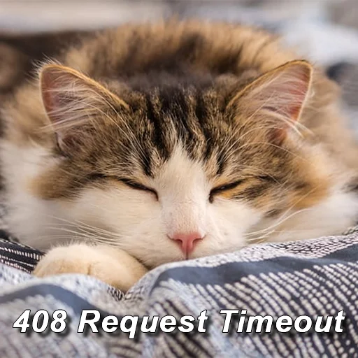 Sticker httpStatusCats - 1