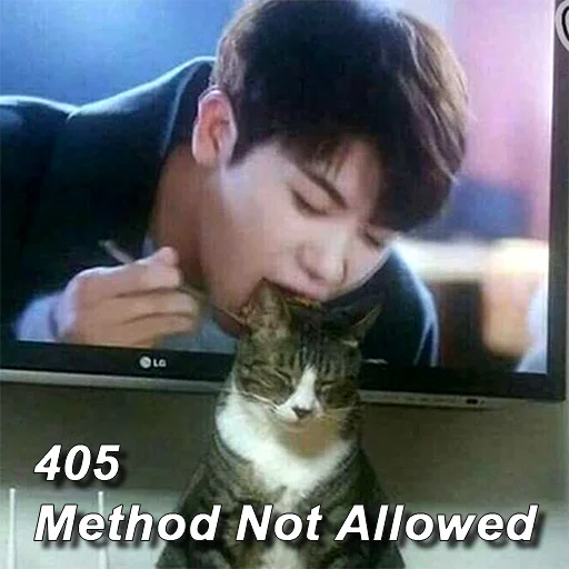 Sticker httpStatusCats - 1