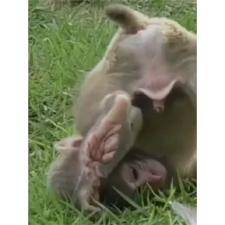 Sticker Больше стиков тут: @stikery4 - 7