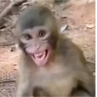 Sticker Больше стиков тут: @stikery4 - 1