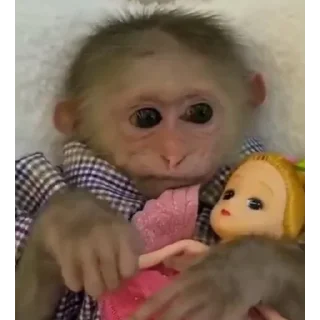 Sticker Больше стиков тут: @stikery4 - 10