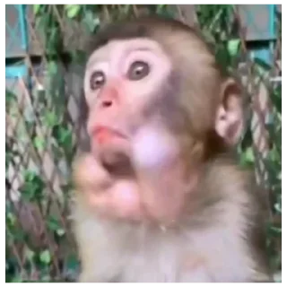 Sticker Больше стиков тут: @stikery4 - 2