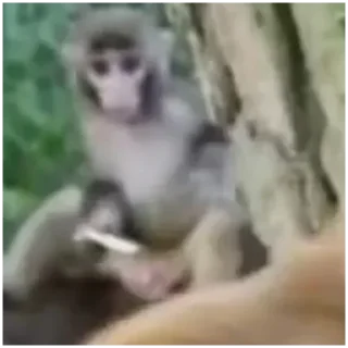 Sticker Больше стиков тут: @stikery4 - 4