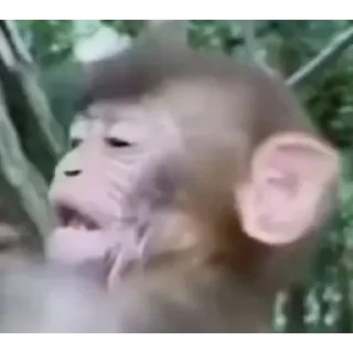 Sticker Больше стиков тут: @stikery4 - 8