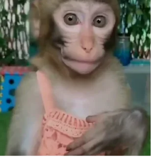 Sticker Больше стиков тут: @stikery4 - 3