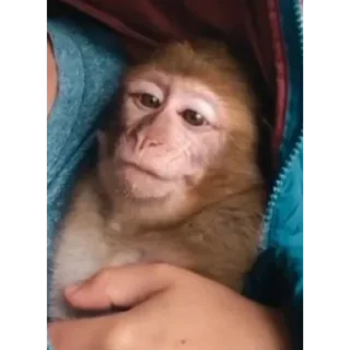 Sticker Больше стиков тут: @stikery4 - 9