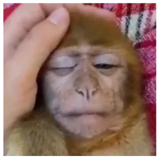 Sticker Больше стиков тут: @stikery4 - 6