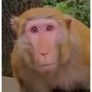 Sticker Больше стиков тут: @stikery4 - 11