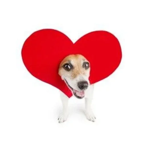 Sticker huafuWVRCED_by_stickers_stealer_bot - 1