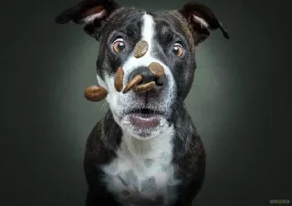 Sticker Больше стикеров 👉🏻 @stickertg4 - 9