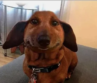 Sticker Больше стикеров 👉🏻 @stickertg4 - 2