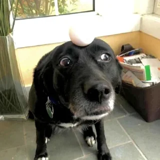 Sticker Больше стикеров 👉🏻 @stickertg4 - 7