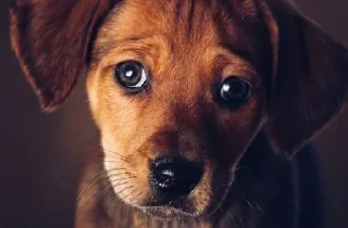 Sticker Больше стикеров 👉🏻 @stickertg4 - 3